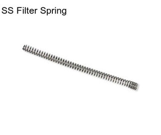 SS Filter Spring