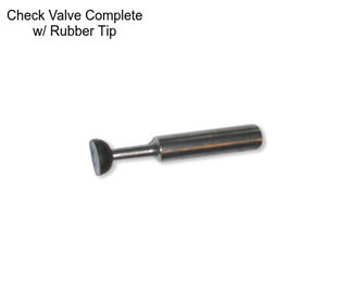 Check Valve Complete w/ Rubber Tip