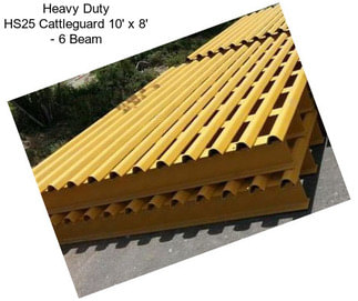 Heavy Duty HS25 Cattleguard 10\' x 8\' - 6 Beam