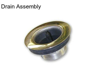 Drain Assembly