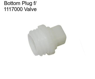 Bottom Plug f/ 1117000 Valve