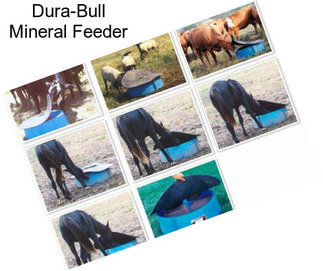 Dura-Bull Mineral Feeder