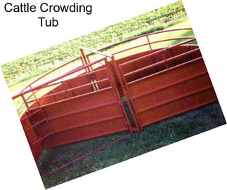 Cattle Crowding Tub