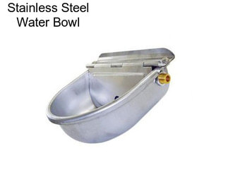 Stainless Steel Water Bowl