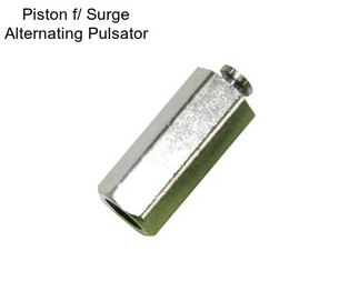 Piston f/ Surge Alternating Pulsator