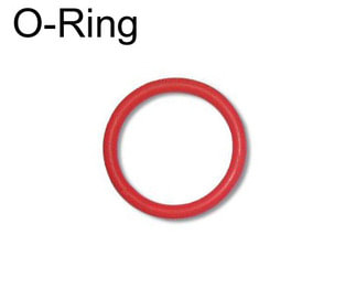 O-Ring