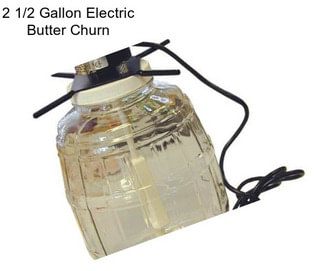 2 1/2 Gallon Electric Butter Churn