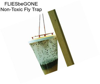 FLIESbeGONE Non-Toxic Fly Trap