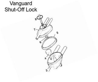 Vanguard Shut-Off Lock