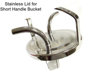 Stainless Lid for Short Handle Bucket
