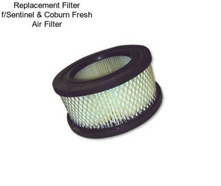 Replacement Filter f/Sentinel & Coburn Fresh Air Filter