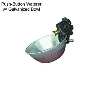 Push-Button Waterer w/ Galvanized Bowl