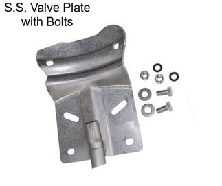 S.S. Valve Plate with Bolts