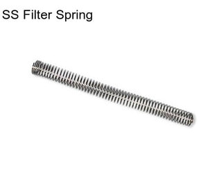 SS Filter Spring