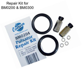Repair Kit for BM0200 & BM0300
