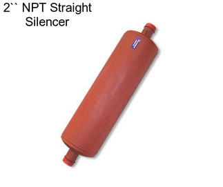 2`` NPT Straight Silencer