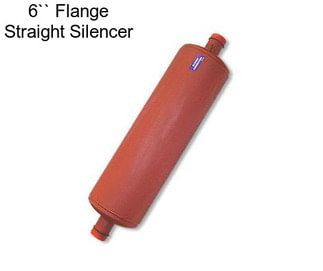 6`` Flange Straight Silencer