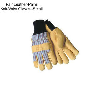 Pair Leather-Palm Knit-Wrist Gloves--Small
