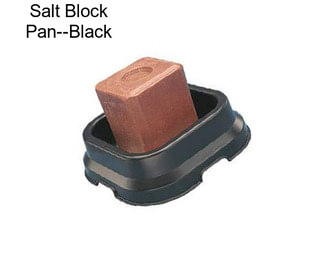 Salt Block Pan--Black