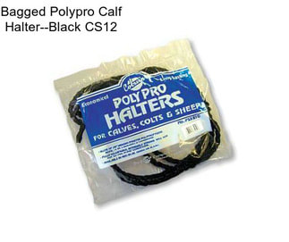 Bagged Polypro Calf Halter--Black CS12