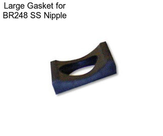 Large Gasket for BR248 SS Nipple