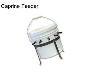 Caprine Feeder