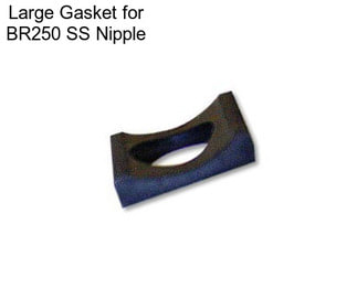 Large Gasket for BR250 SS Nipple