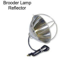 Brooder Lamp Reflector