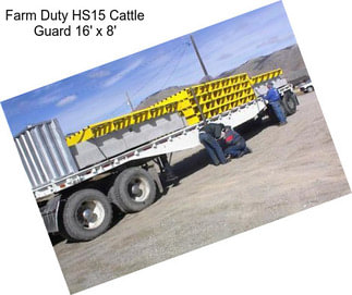 Farm Duty HS15 Cattle Guard 16\' x 8\'