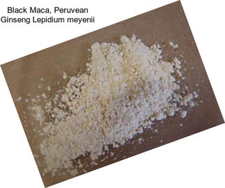 Black Maca, Peruvean Ginseng Lepidium meyenii