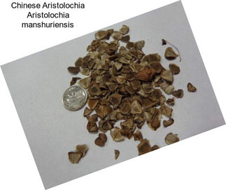 Chinese Aristolochia Aristolochia manshuriensis