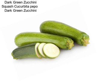 Dark Green Zucchini Squash Cucurbita pepo   Dark Green Zucchini