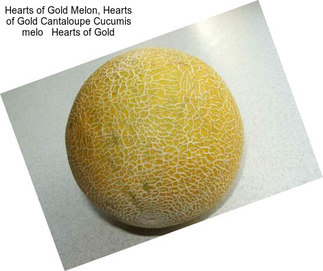 Hearts of Gold Melon, Hearts of Gold Cantaloupe Cucumis melo   Hearts of Gold